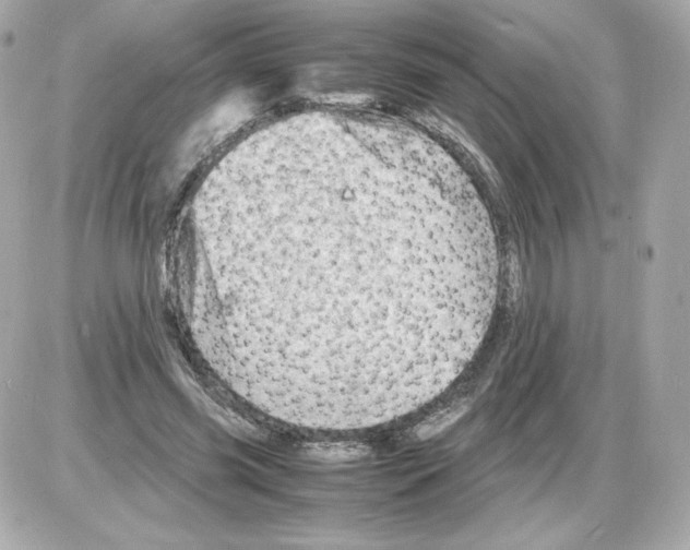 X0000085290541200704092235