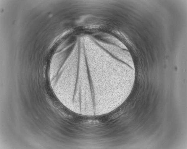X0000085290543200704092235