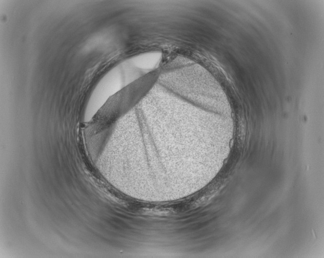 X0000085290545200704092235