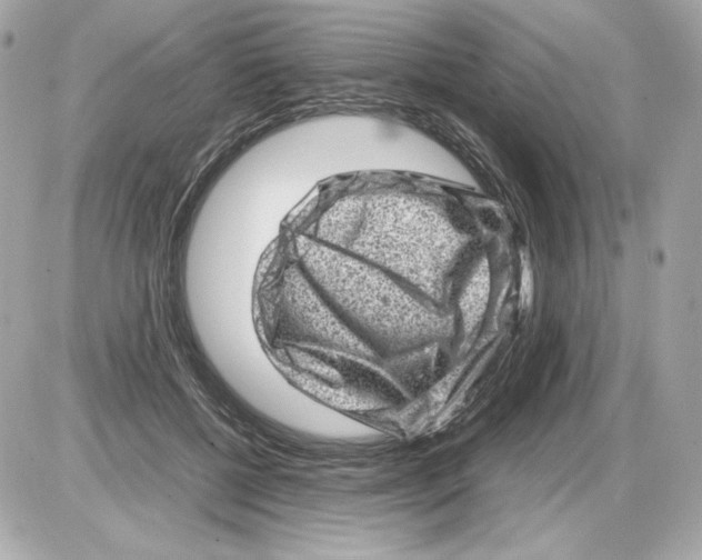 X0000085290552200704092235