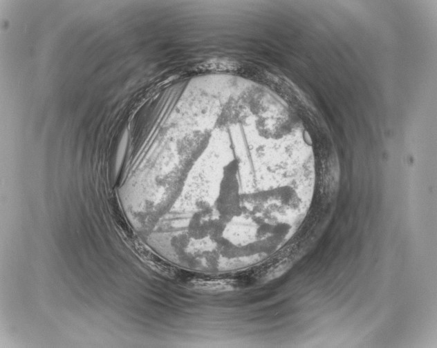 X0000085290553200704092235