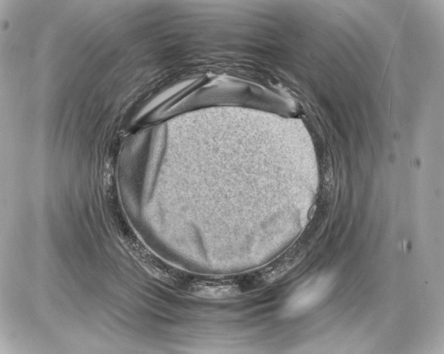 X0000085290555200704092235