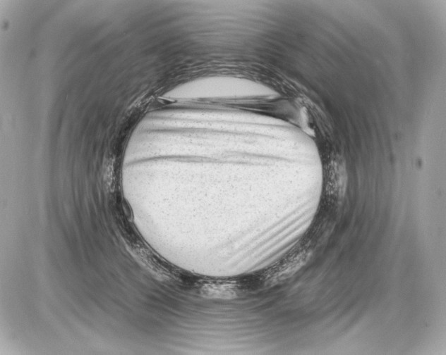 X0000085290560200704092235