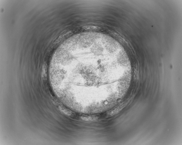 X0000085290561200704092235