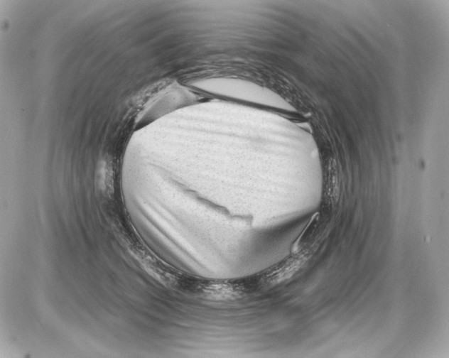 X0000085290562200704092235