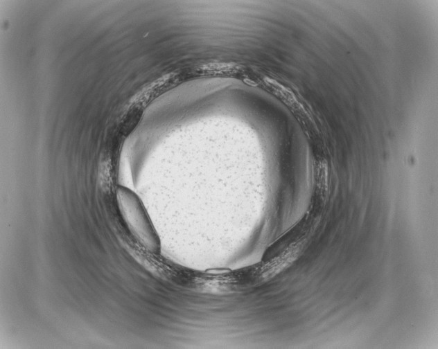 X0000085290564200704092235