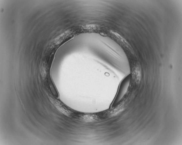 X0000085290566200704092235