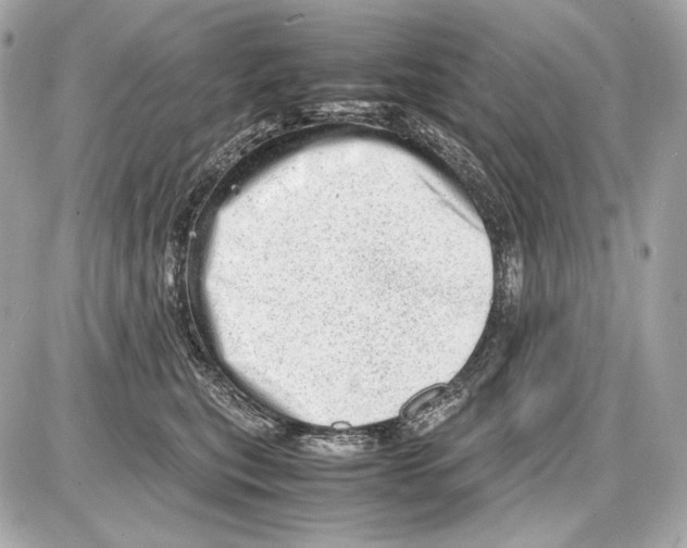 X0000085290567200704092235