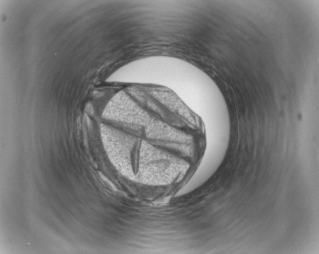 X0000085290570200704092235