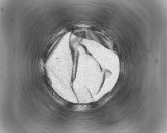X0000085290575200704092235