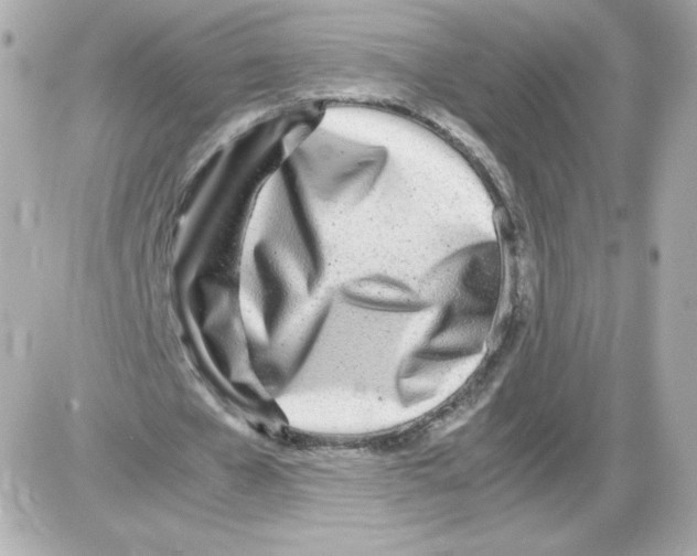 X0000085290577200704092234