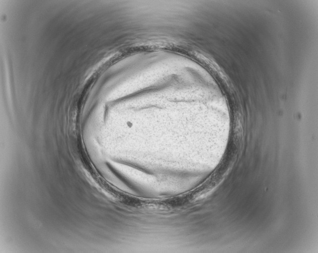 X0000085290585200704092234