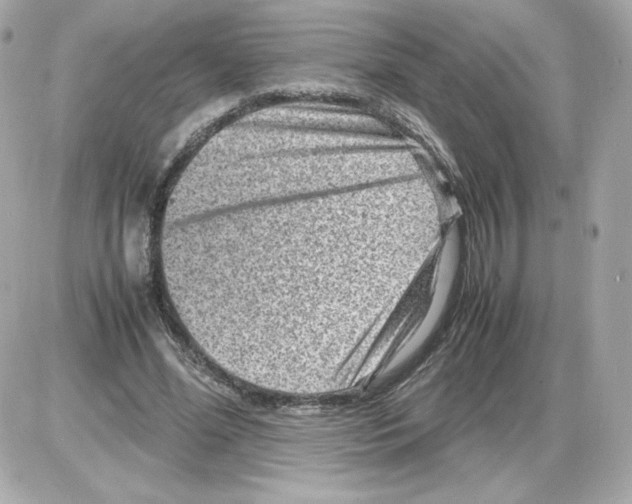 X0000085290588200704092234