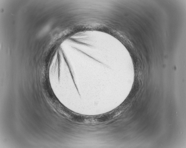 X0000085290591200704092234
