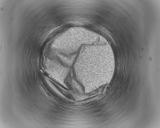 X0000085290596200704092234