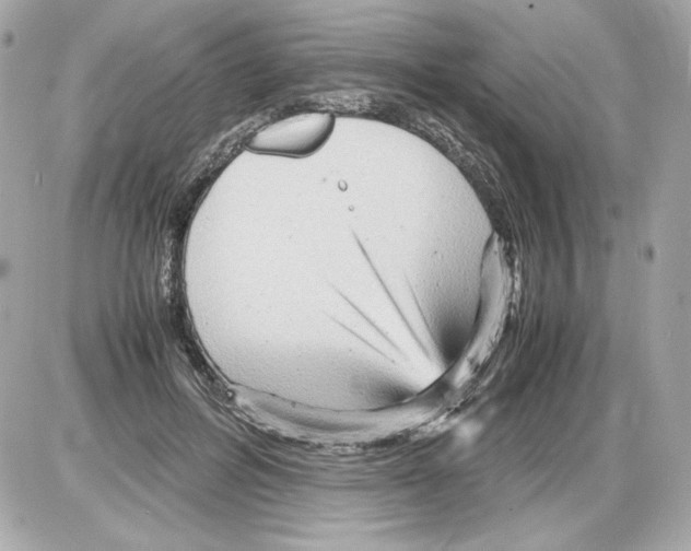 X0000085290600200704092234