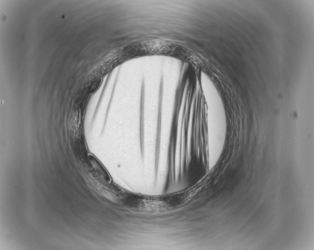 X0000085290605200704092234