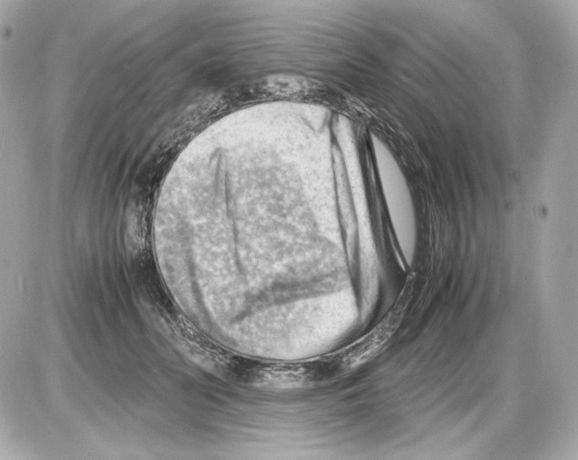 X0000085290606200704092234