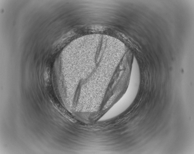 X0000085290608200704092234