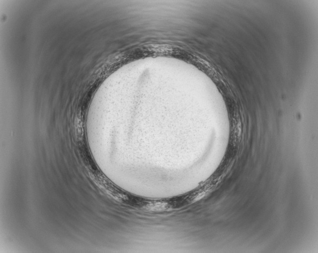 X0000085290609200704092234
