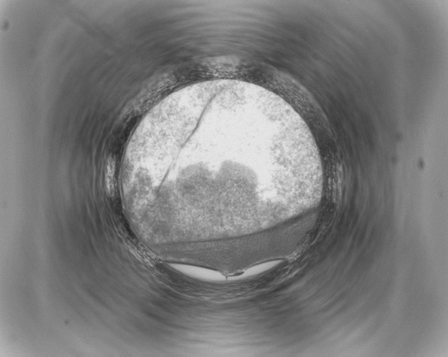 X0000085290610200704092234