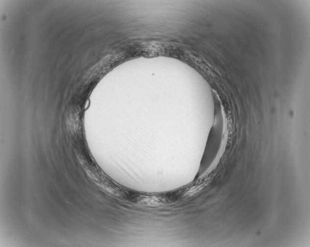 X0000085290611200704092234