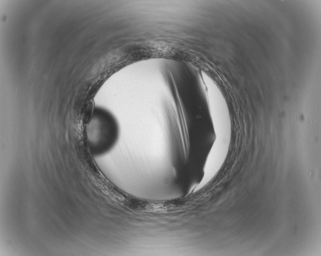 X0000085290613200704092234