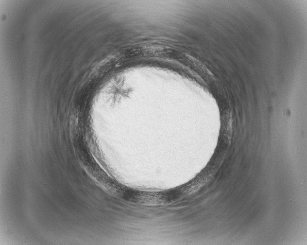 X0000085290615200704092234