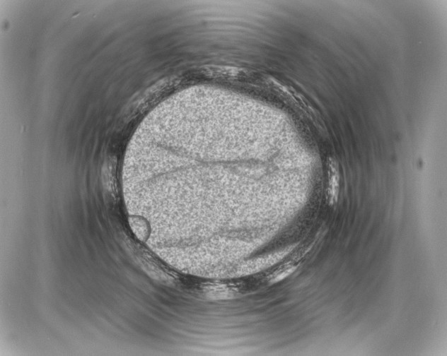 X0000085290616200704092234