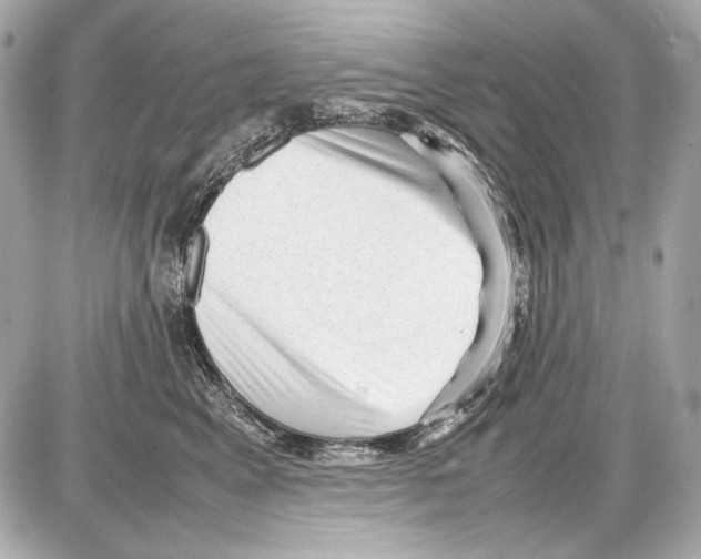 X0000085290617200704092234
