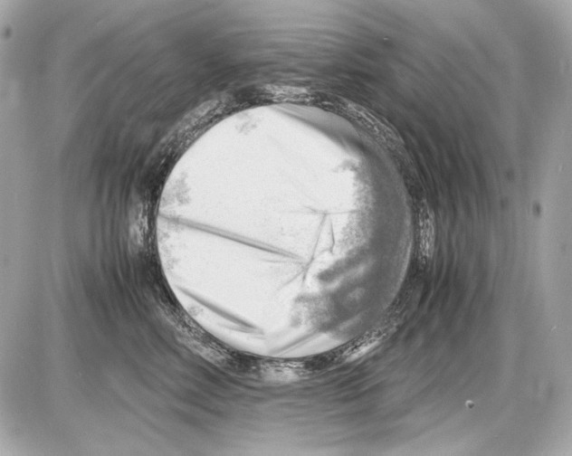 X0000085290618200704092234
