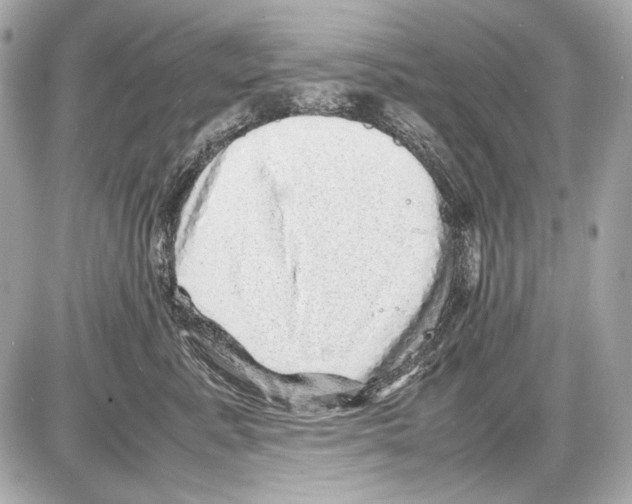 X0000085290619200704092234