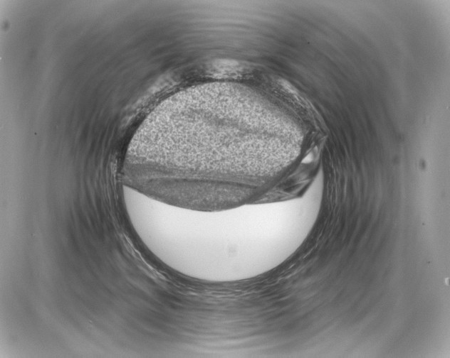 X0000085290620200704092234