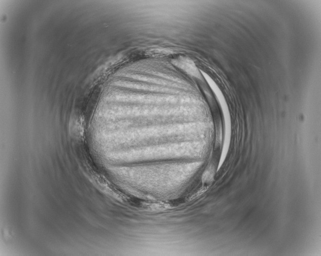 X0000085290621200704092234