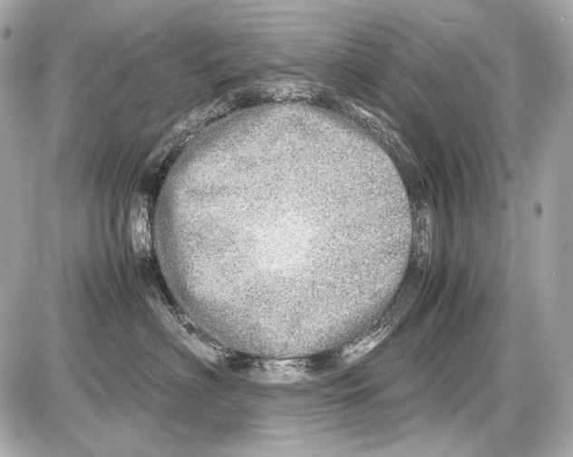 X0000085290622200704092234