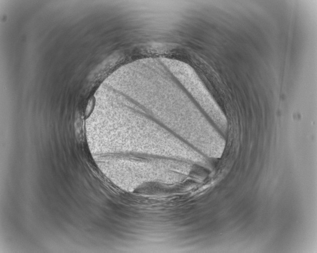 X0000085290624200704092234