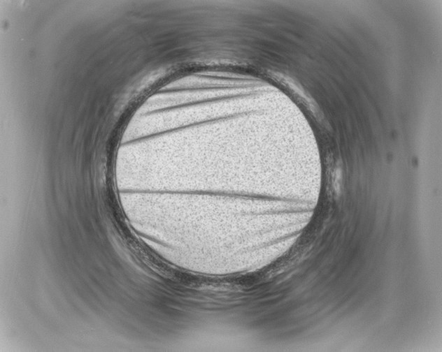 X0000085290631200704092233