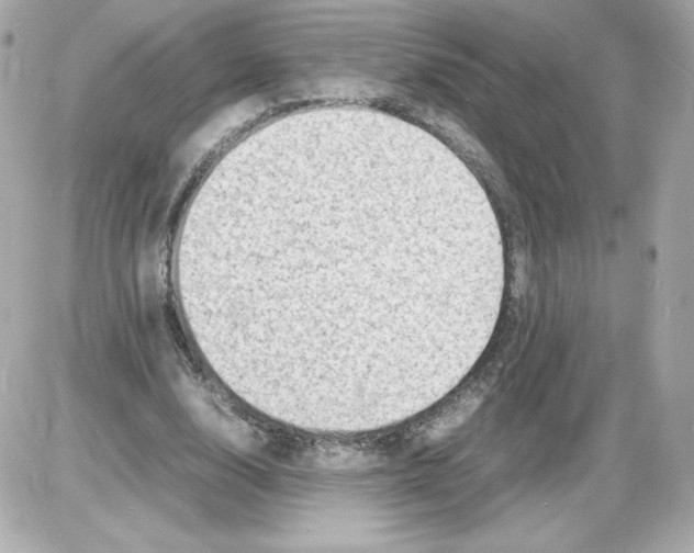 X0000085290632200704092233