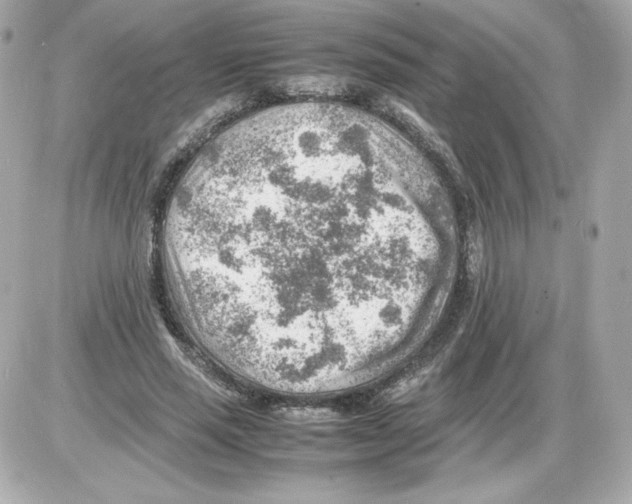 X0000085290637200704092233