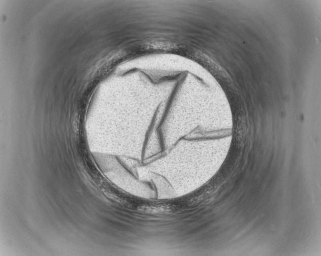 X0000085290639200704092233