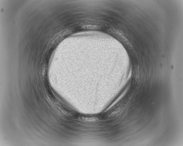 X0000085290645200704092233