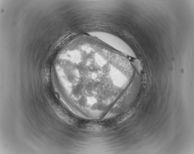 X0000085290648200704092233