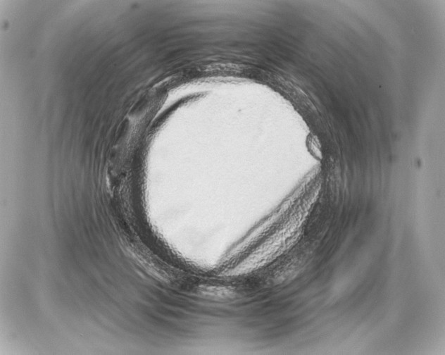 X0000085290649200704092233