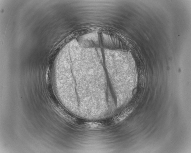 X0000085290654200704092233