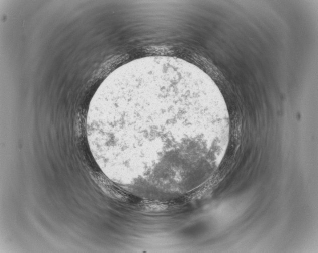 X0000085290658200704092233