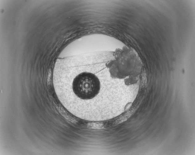 X0000085290660200704092233