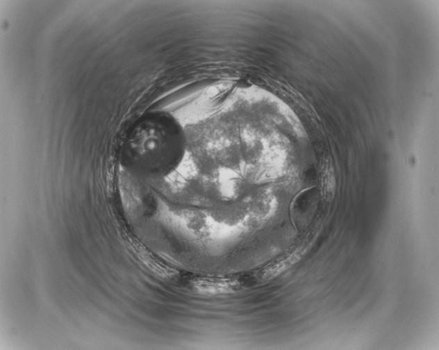 X0000085290661200704092233
