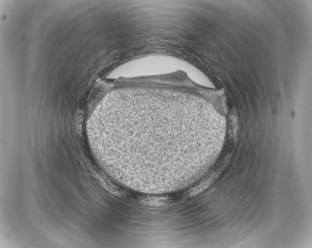 X0000085290664200704092233