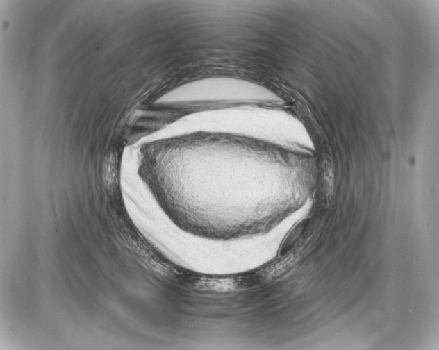 X0000085290665200704092233