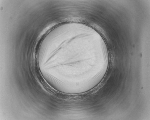 X0000085290674200704092233